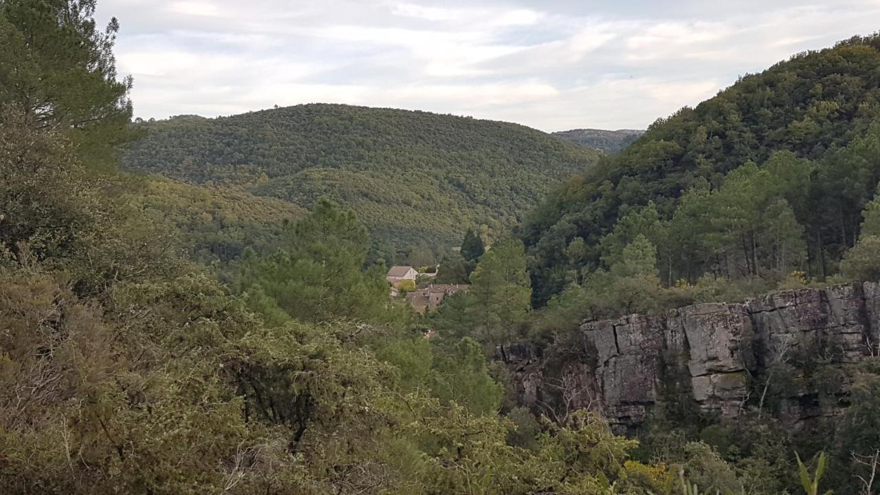 Le Clos Du Cedre Saint Sebastien d'Aigrefeuille Εξωτερικό φωτογραφία