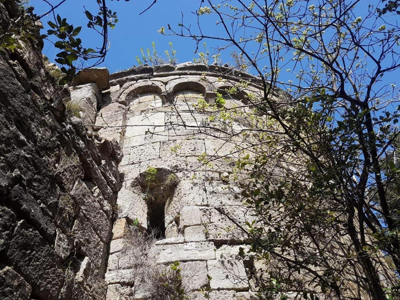 Le Clos Du Cedre Saint Sebastien d'Aigrefeuille Εξωτερικό φωτογραφία