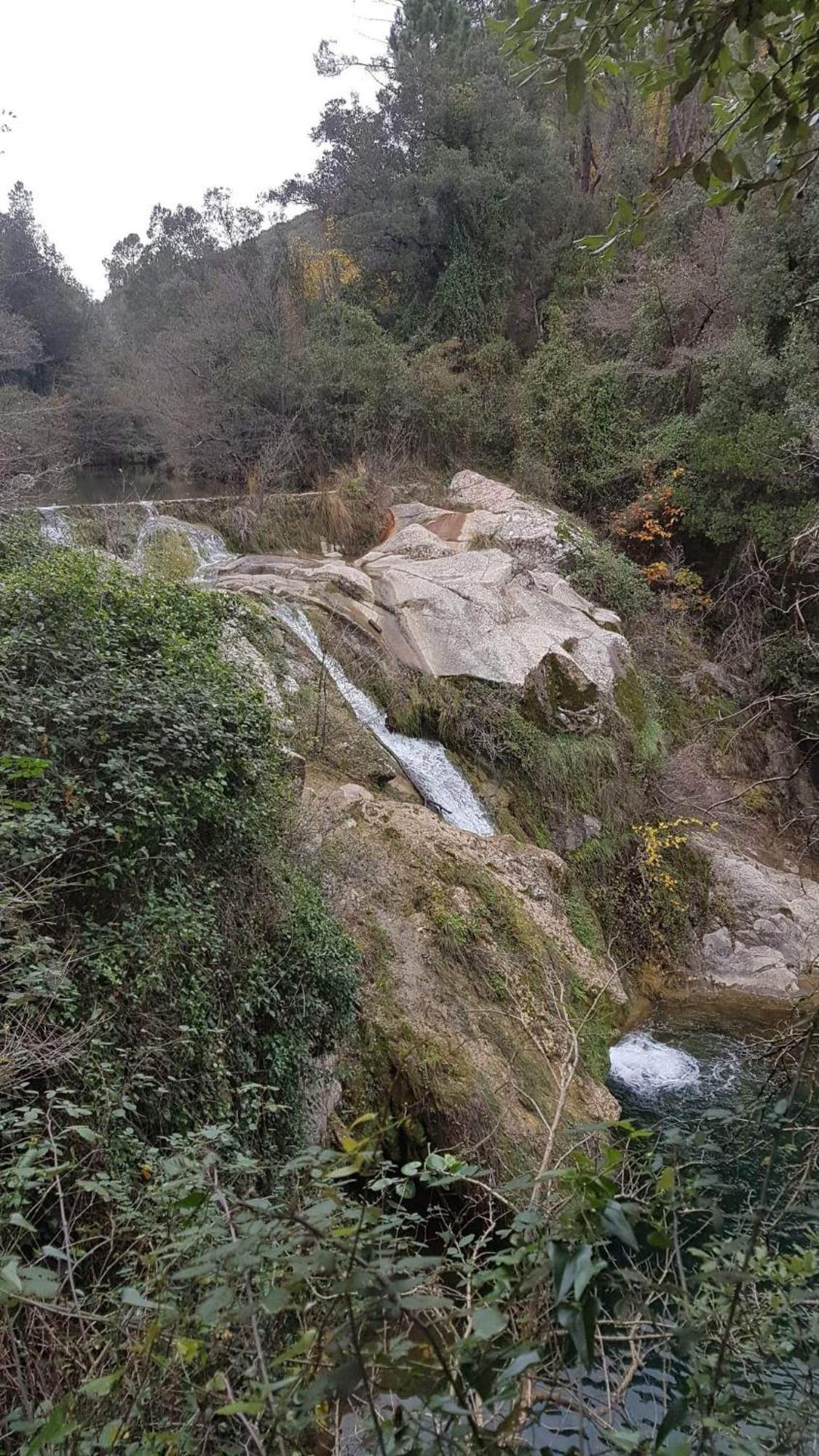 Le Clos Du Cedre Saint Sebastien d'Aigrefeuille Εξωτερικό φωτογραφία